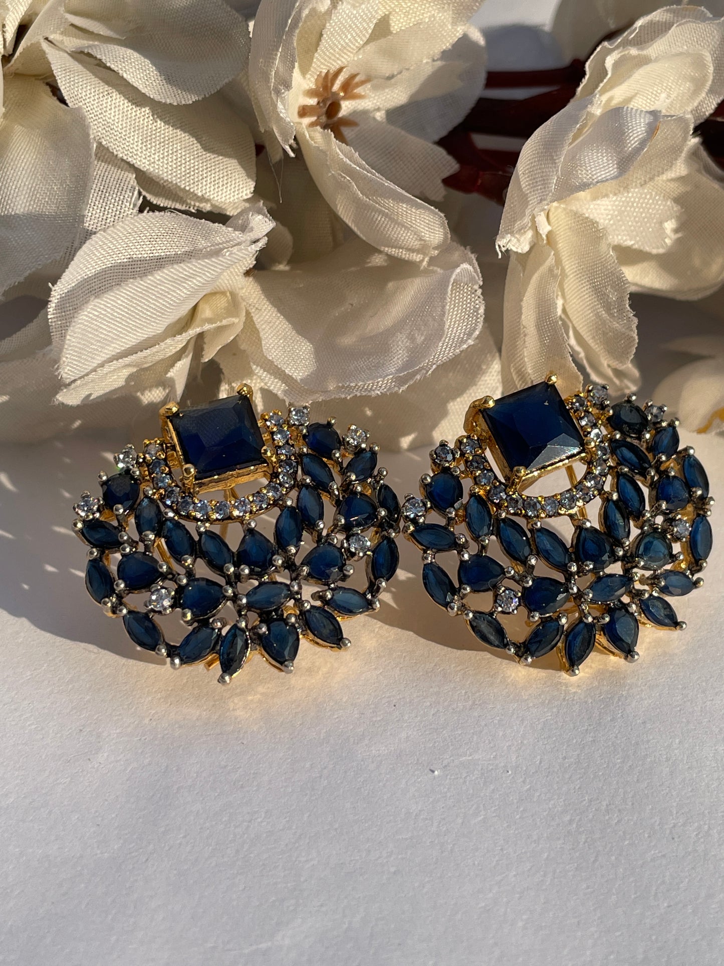 Frozen Moments Earrings