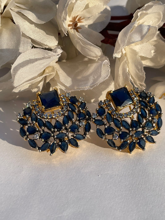 Frozen Moments Earrings